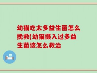 幼猫吃太多益生菌怎么挽救(幼猫摄入过多益生菌该怎么救治