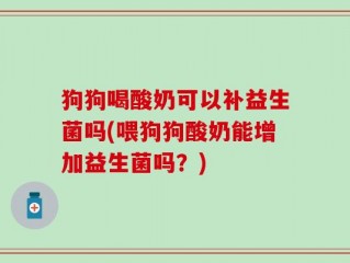 狗狗喝酸奶可以补益生菌吗(喂狗狗酸奶能增加益生菌吗？)