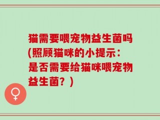 猫需要喂宠物益生菌吗(照顾猫咪的小提示：是否需要给猫咪喂宠物益生菌？)