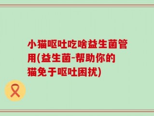 小猫呕吐吃啥益生菌管用(益生菌-帮助你的猫免于呕吐困扰)
