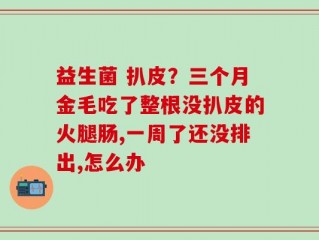 益生菌 扒皮？三个月金毛吃了整根没扒皮的火腿肠,一周了还没排出,怎么办
