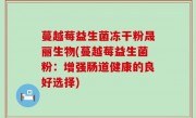 蔓越莓益生菌冻干粉晟丽生物(蔓越莓益生菌粉：增强肠道健康的良好选择)
