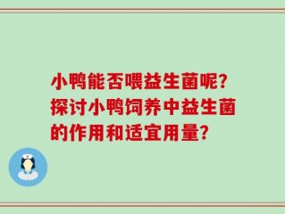 小鸭能否喂益生菌呢？探讨小鸭饲养中益生菌的作用和适宜用量？
