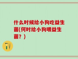 什么时候给小狗吃益生菌(何时给小狗喂益生菌？)