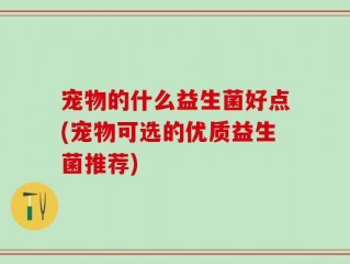 宠物的什么益生菌好点(宠物可选的优质益生菌推荐)