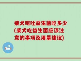 柴犬呕吐益生菌吃多少(柴犬吃益生菌应该注意的事项及用量建议)