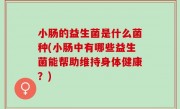 小肠的益生菌是什么菌种(小肠中有哪些益生菌能帮助维持身体健康？)