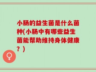 小肠的益生菌是什么菌种(小肠中有哪些益生菌能帮助维持身体健康？)