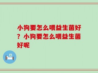 小狗要怎么喂益生菌好？小狗要怎么喂益生菌好呢