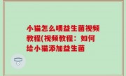 小猫怎么喂益生菌视频教程(视频教程：如何给小猫添加益生菌