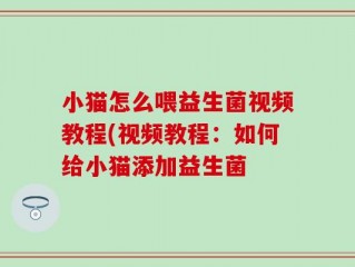 小猫怎么喂益生菌视频教程(视频教程：如何给小猫添加益生菌