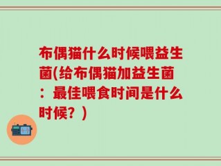 布偶猫什么时候喂益生菌(给布偶猫加益生菌：最佳喂食时间是什么时候？)