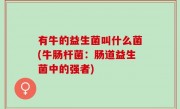 有牛的益生菌叫什么菌(牛肠杆菌：肠道益生菌中的强者)
