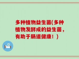多种植物益生菌(多种植物发酵成的益生菌，有助于肠道健康！)