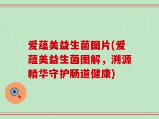 爱蕴美益生菌图片(爱蕴美益生菌图解，溯源精华守护肠道健康)