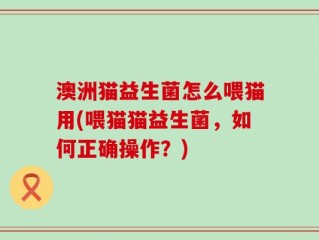 澳洲猫益生菌怎么喂猫用(喂猫猫益生菌，如何正确操作？)