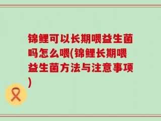 锦鲤可以长期喂益生菌吗怎么喂(锦鲤长期喂益生菌方法与注意事项)