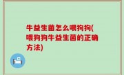 牛益生菌怎么喂狗狗(喂狗狗牛益生菌的正确方法)