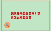 鹦鹉爱喝益生菌吗？鹦鹉怎么喂益生菌