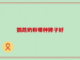 鹦鹉奶粉哪种牌子好
