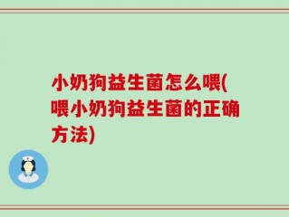 小奶狗益生菌怎么喂(喂小奶狗益生菌的正确方法)