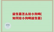 益生菌怎么给小狗喝(如何给小狗喝益生菌)