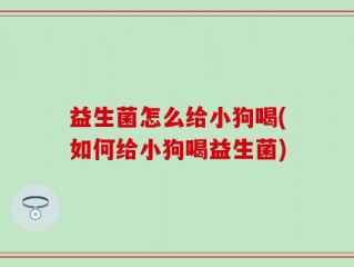 益生菌怎么给小狗喝(如何给小狗喝益生菌)