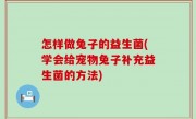 怎样做兔子的益生菌(学会给宠物兔子补充益生菌的方法)