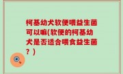 柯基幼犬软便喂益生菌可以嘛(软便的柯基幼犬是否适合喂食益生菌？)