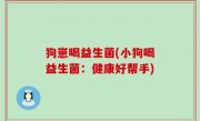 狗崽喝益生菌(小狗喝益生菌：健康好帮手)