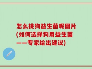 怎么挑狗益生菌呢图片(如何选择狗用益生菌——专家给出建议)