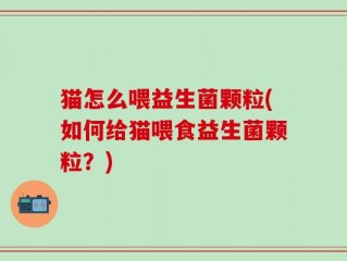 猫怎么喂益生菌颗粒(如何给猫喂食益生菌颗粒？)