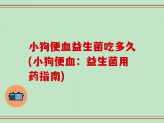 小狗便血益生菌吃多久(小狗便血：益生菌用药指南)