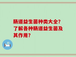 肠道益生菌种类大全？了解各种肠道益生菌及其作用？