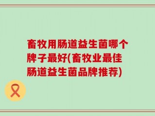 畜牧用肠道益生菌哪个牌子最好(畜牧业最佳肠道益生菌品牌推荐)