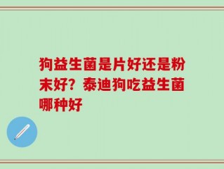 狗益生菌是片好还是粉末好？泰迪狗吃益生菌哪种好