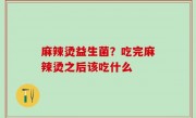 麻辣烫益生菌？吃完麻辣烫之后该吃什么