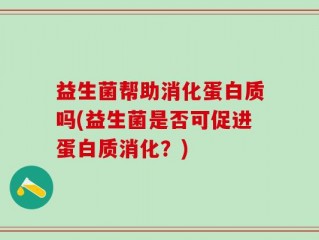 益生菌帮助消化蛋白质吗(益生菌是否可促进蛋白质消化？)