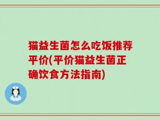 猫益生菌怎么吃饭推荐平价(平价猫益生菌正确饮食方法指南)