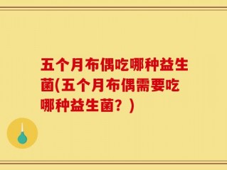 五个月布偶吃哪种益生菌(五个月布偶需要吃哪种益生菌？)