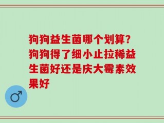 狗狗益生菌哪个划算？狗狗得了细小止拉稀益生菌好还是庆大霉素效果好