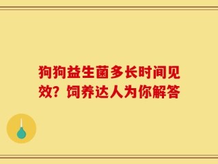 狗狗益生菌多长时间见效？饲养达人为你解答