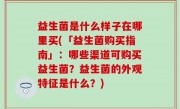 益生菌是什么样子在哪里买(「益生菌购买指南」：哪些渠道可购买益生菌？益生菌的外观特征是什么？)