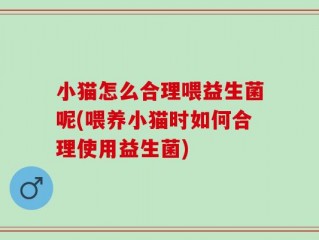 小猫怎么合理喂益生菌呢(喂养小猫时如何合理使用益生菌)