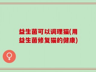 益生菌可以调理猫(用益生菌修复猫的健康)