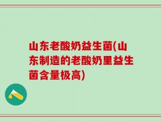 山东老酸奶益生菌(山东制造的老酸奶里益生菌含量极高)