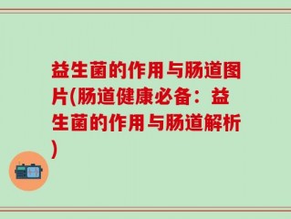 益生菌的作用与肠道图片(肠道健康必备：益生菌的作用与肠道解析)