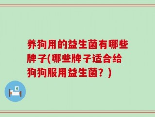 养狗用的益生菌有哪些牌子(哪些牌子适合给狗狗服用益生菌？)