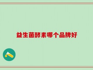 益生菌酵素哪个品牌好
