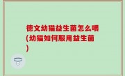 德文幼猫益生菌怎么喂(幼猫如何服用益生菌)